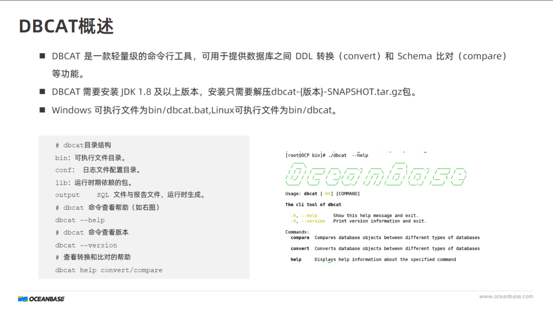 dbcat 迁移评估工具的教程解析
