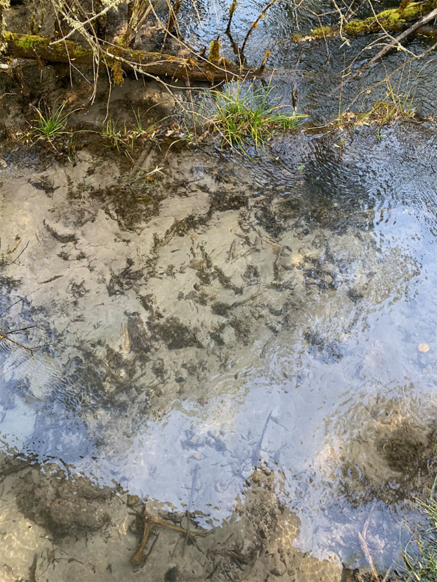 漫步九寨沟